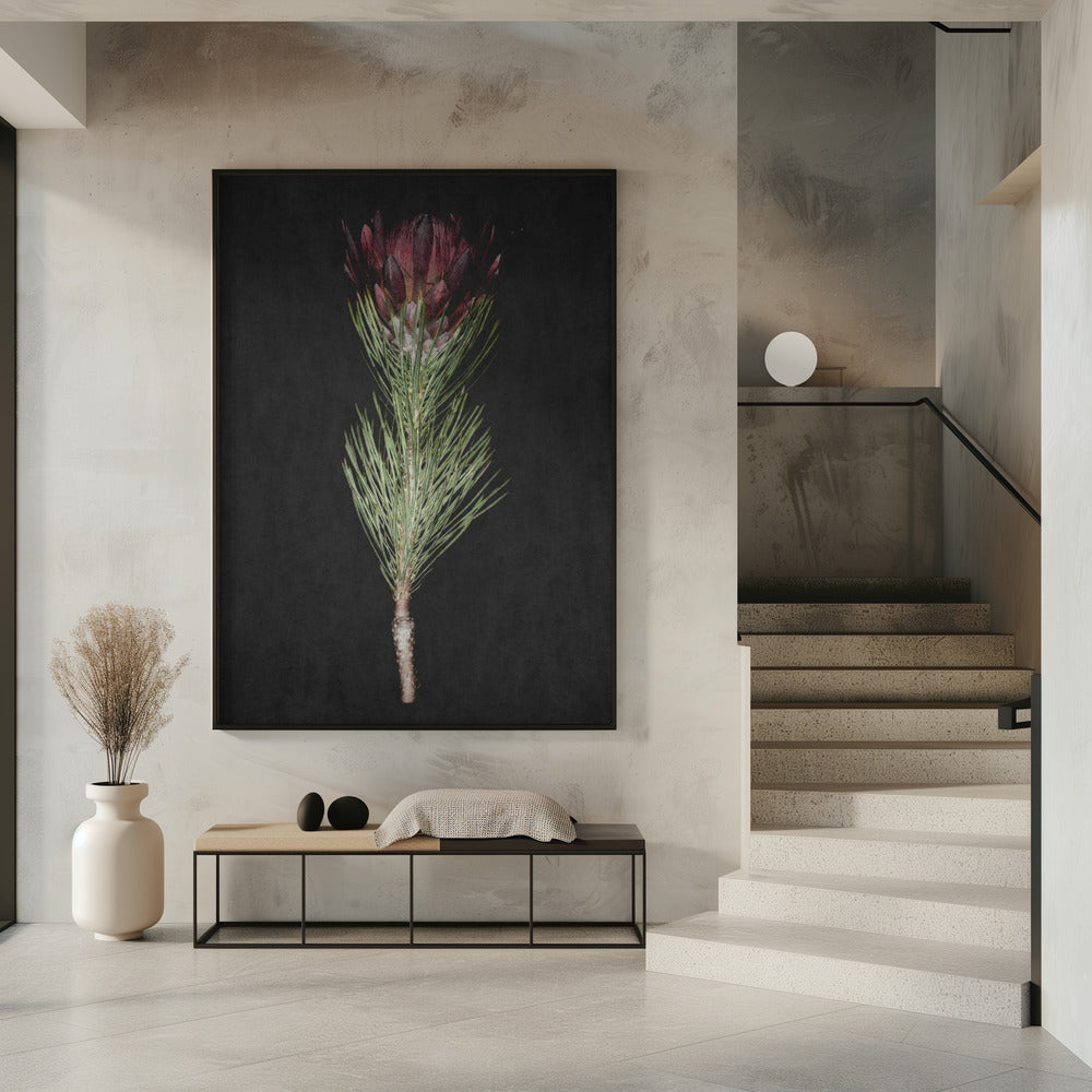 Protea Serenity | Poster