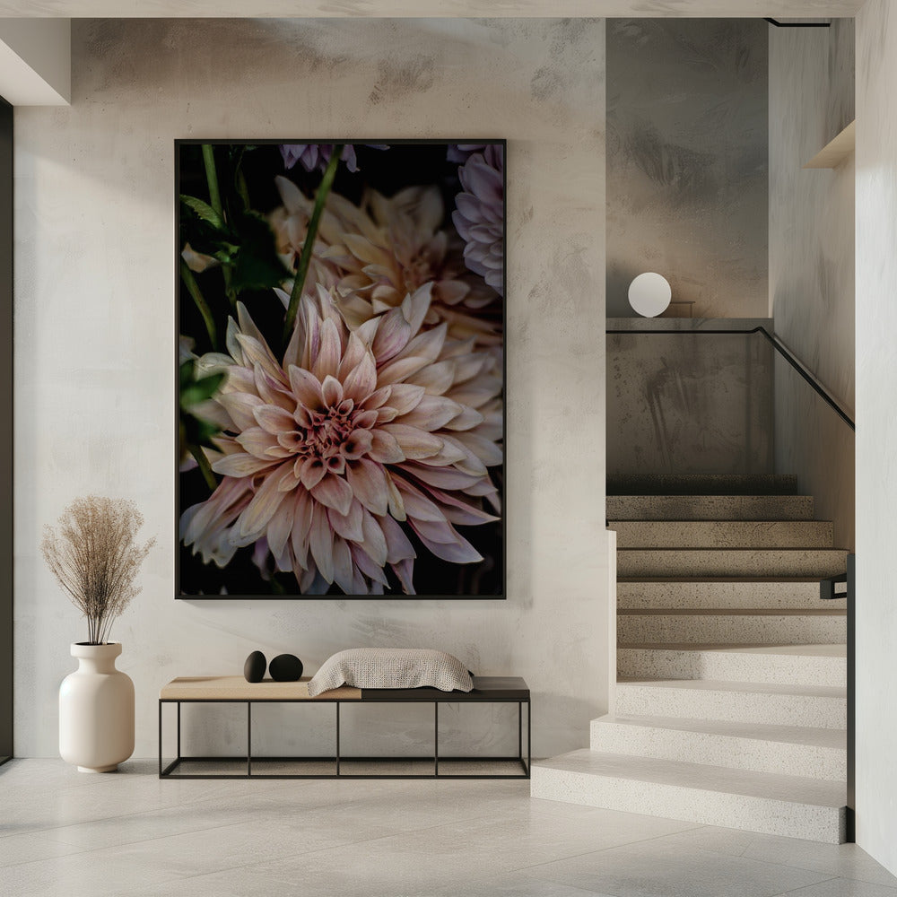 Blütenblätter in voller Blüte | Poster