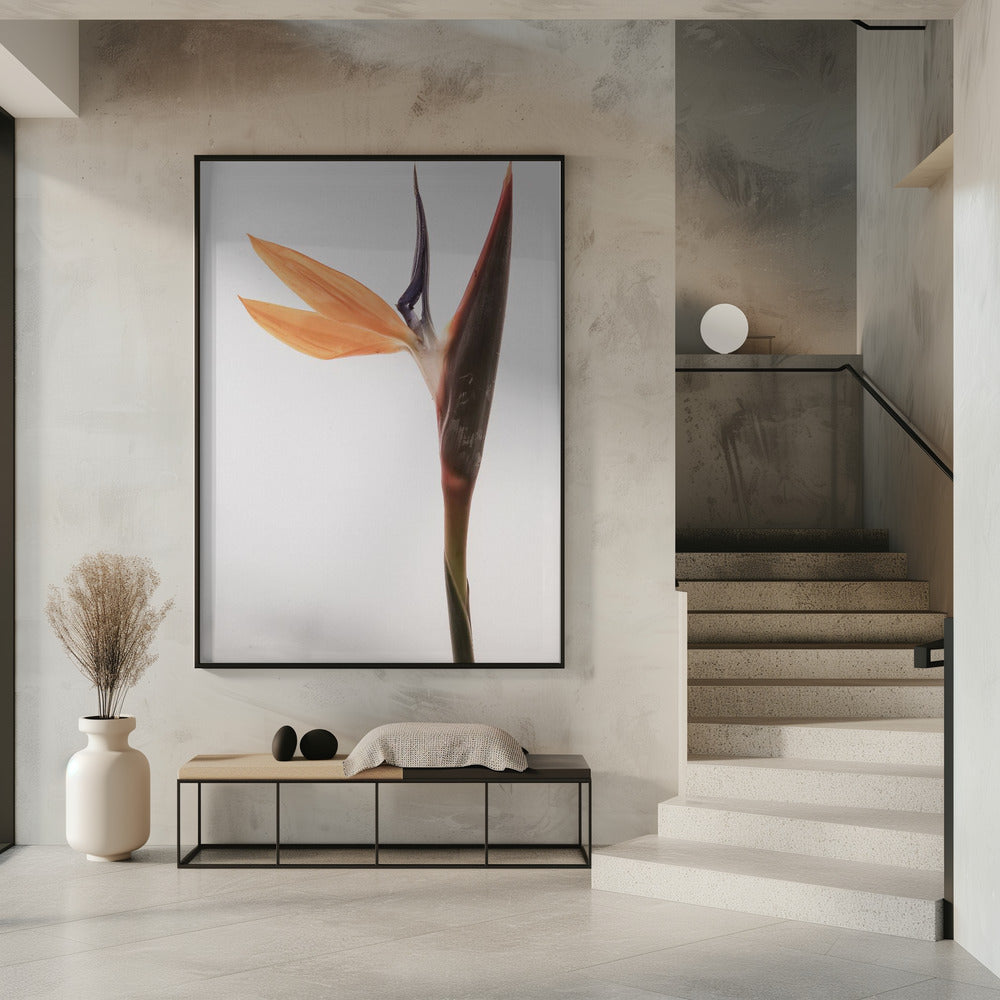 Lebendige Blüte | Poster