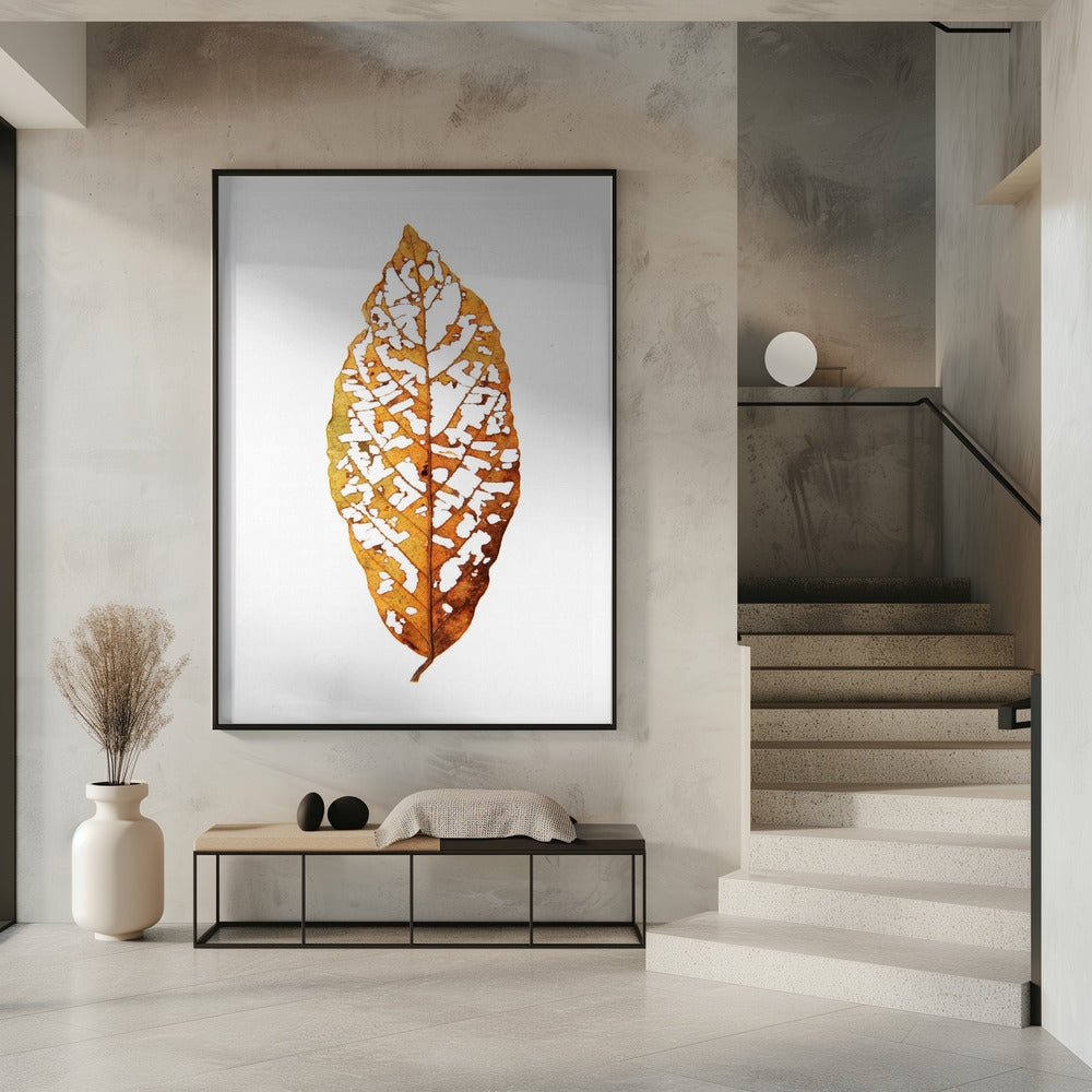 Blattskelett-Essenz | Poster