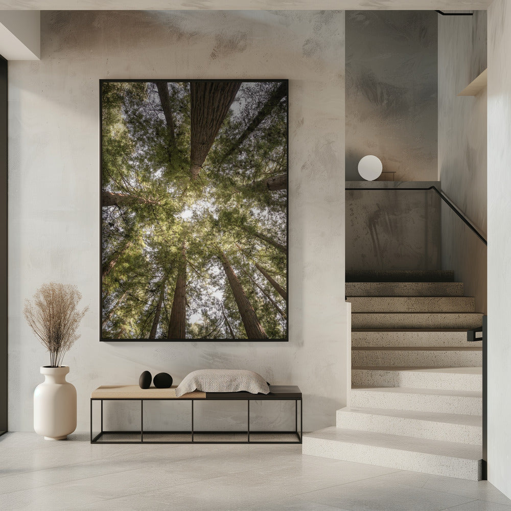 Beauty of Nature | Poster