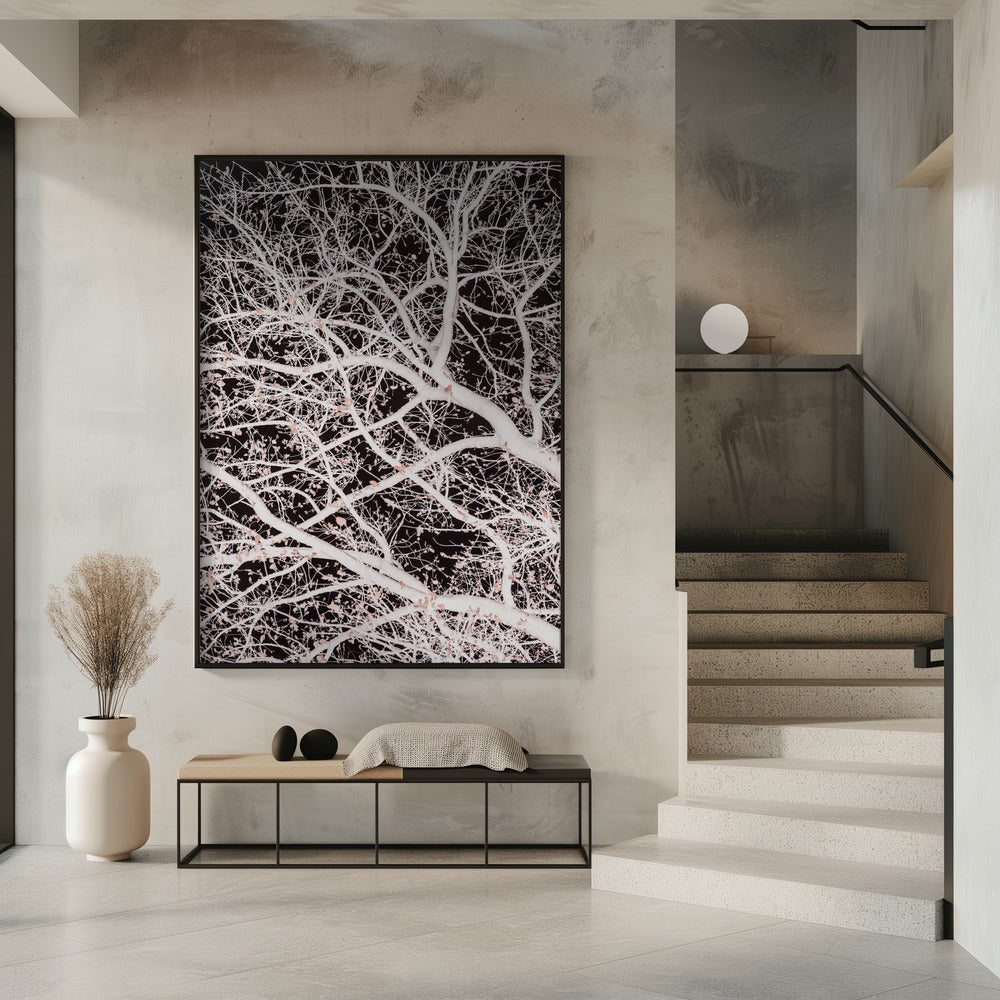 Tree Branches | Poster