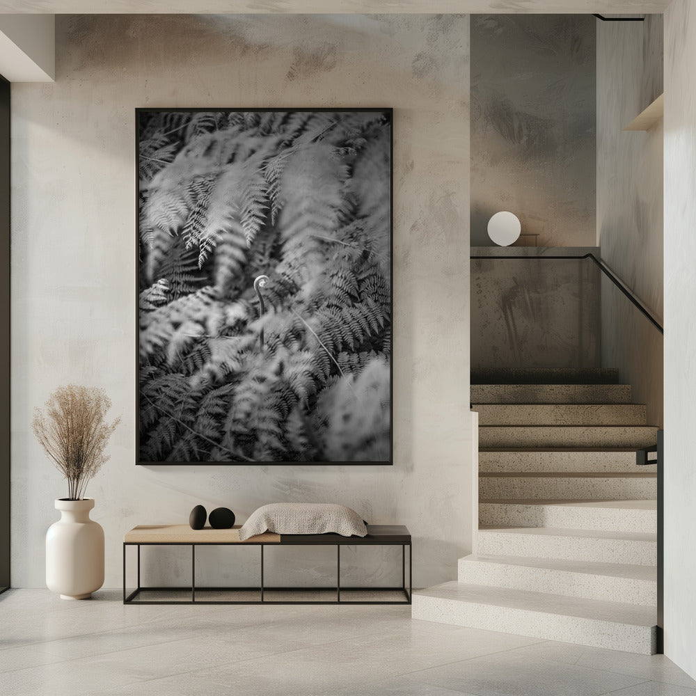 Schwarz-Weiß-Fotografie | Poster