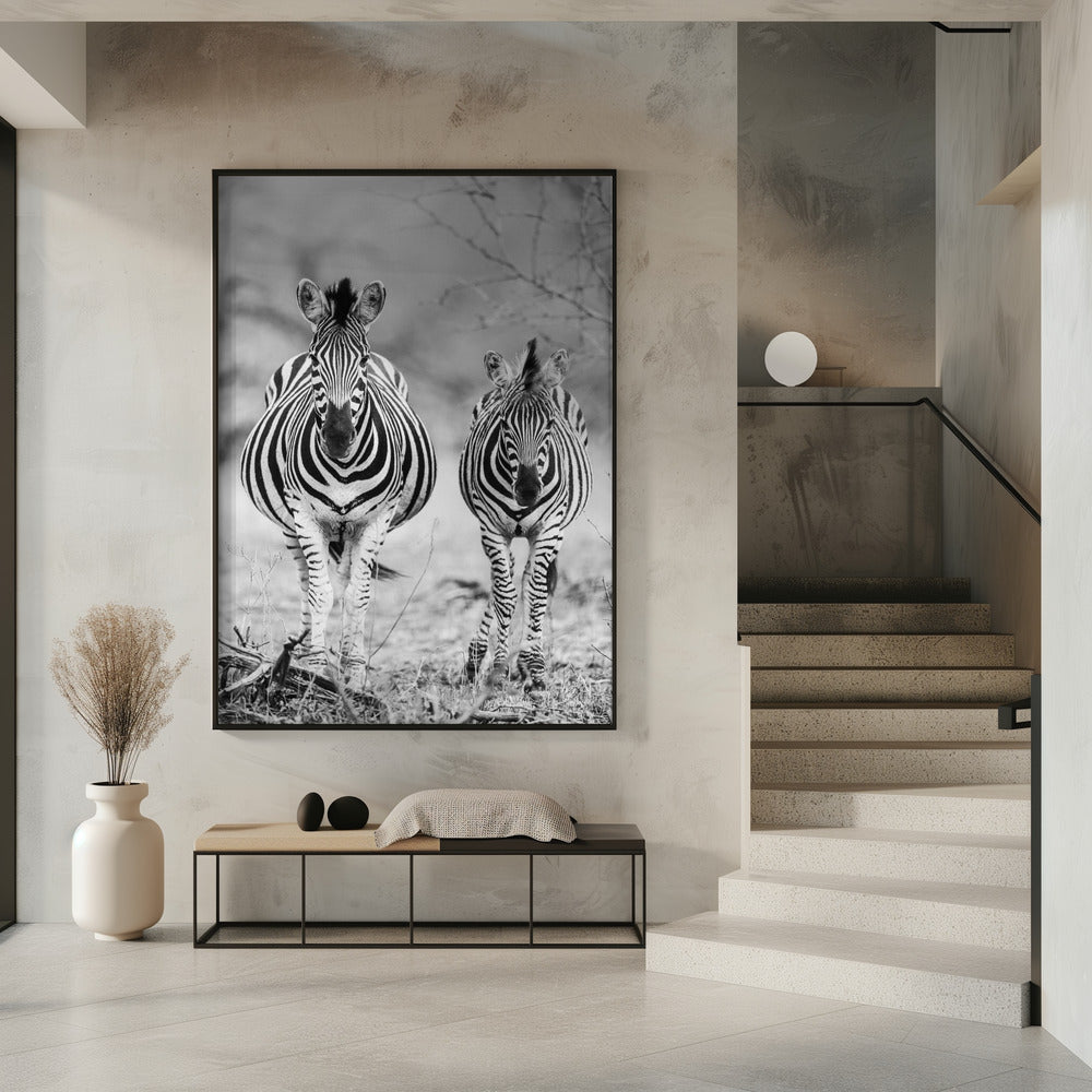 Gestreiftes Pferd vorne | Poster