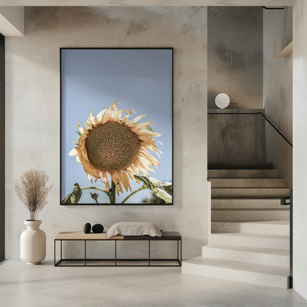 Golden Sunflower Sway | Poster