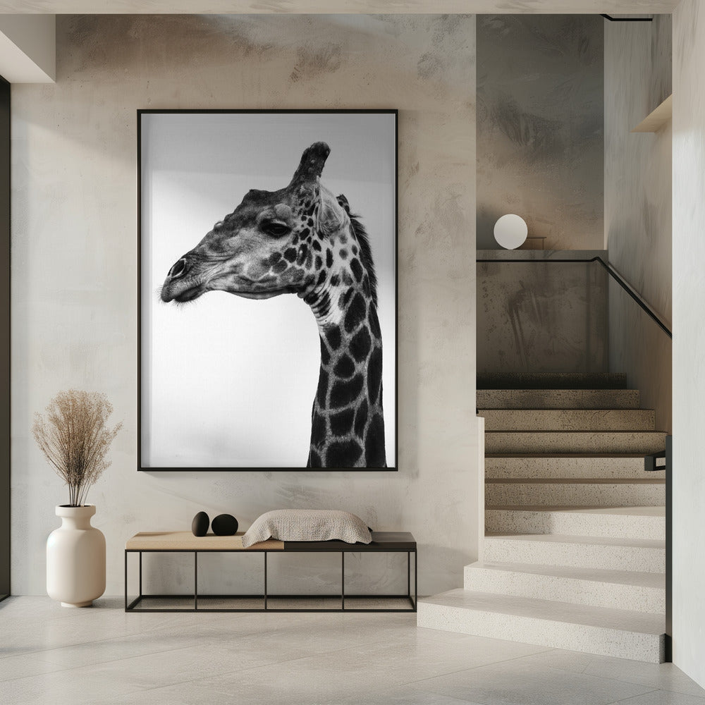 Komplizierte Muster der Giraffenhaut | Poster