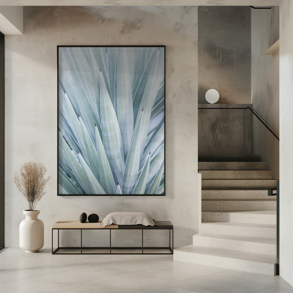 Azurblauer Agaventanz | Poster