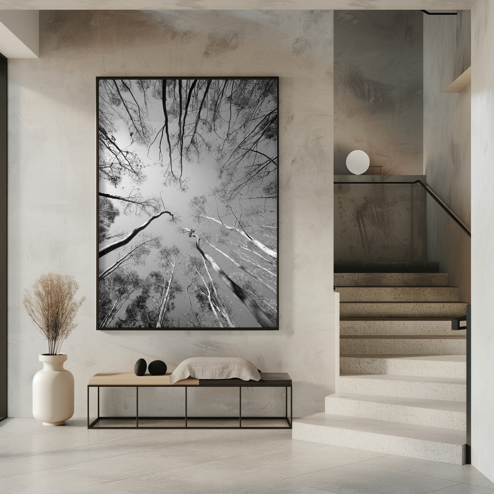 Himmelssinfonie | Poster
