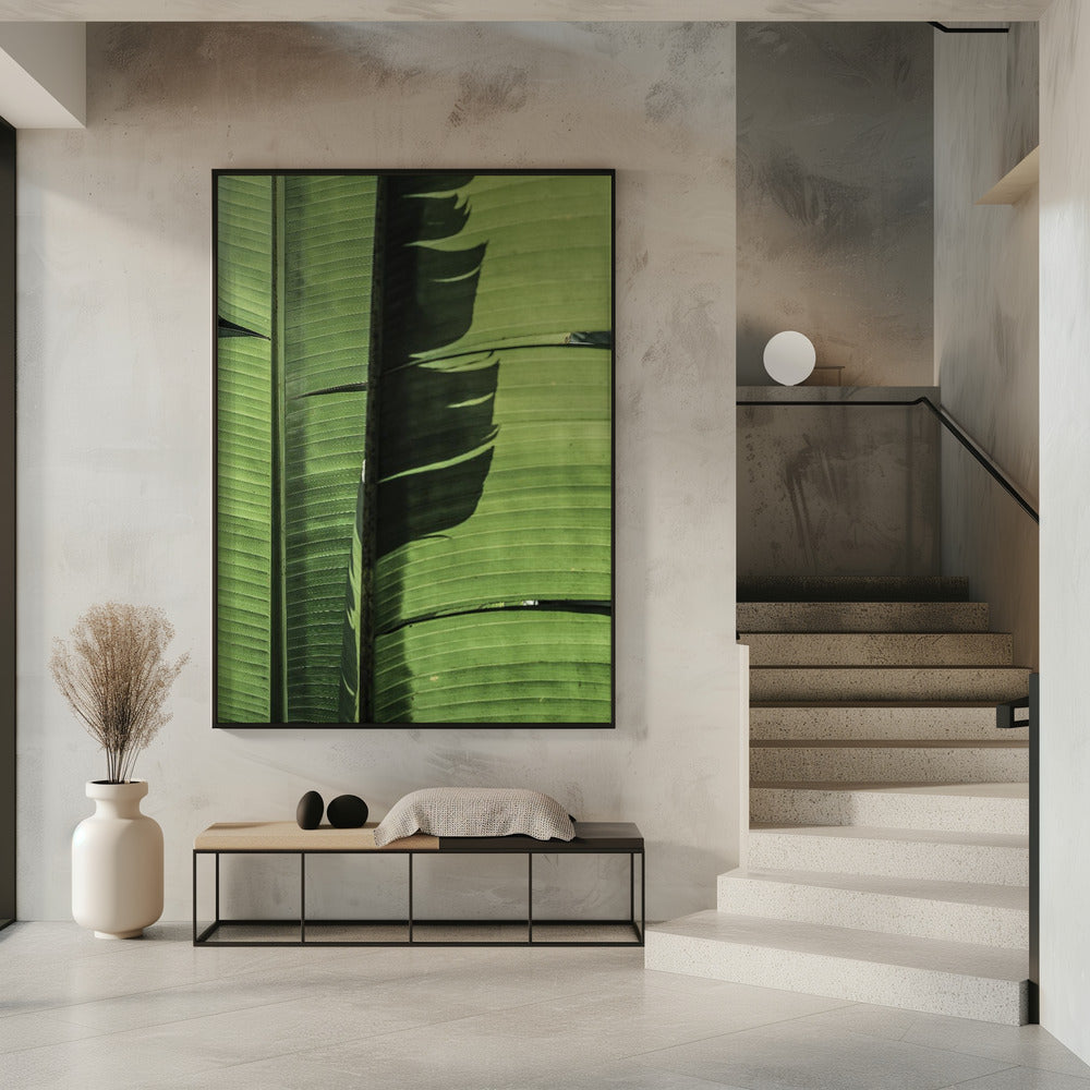 Tropical Banana Leaves | Poster