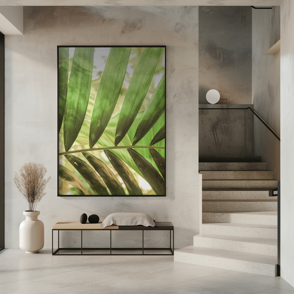 Schönheit der Palmblätter | Poster