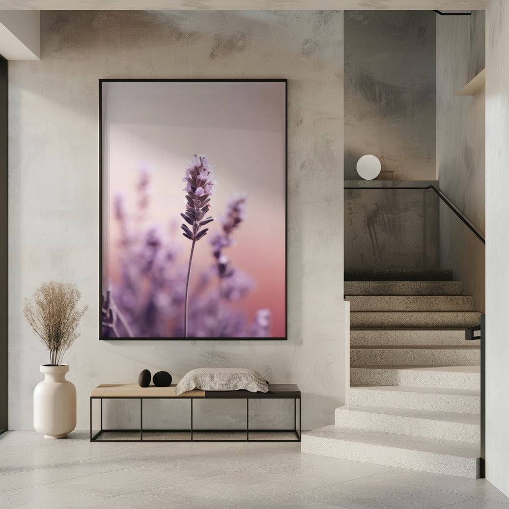 Lavendel-Gelassenheit | Poster