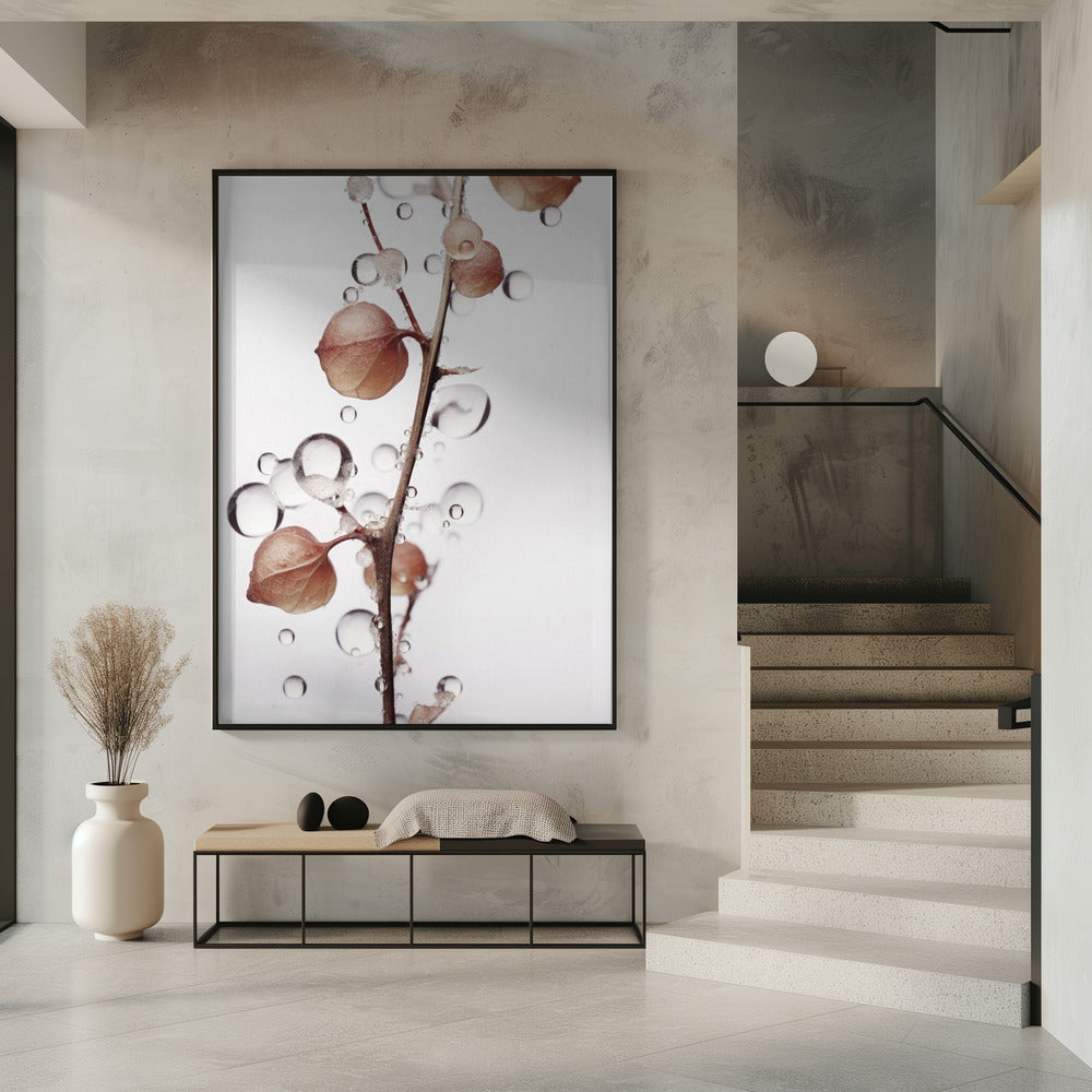 Blasen und Blüten | Poster