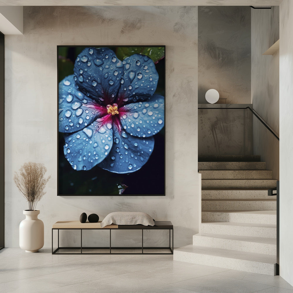 Regentropfenblüte | Poster