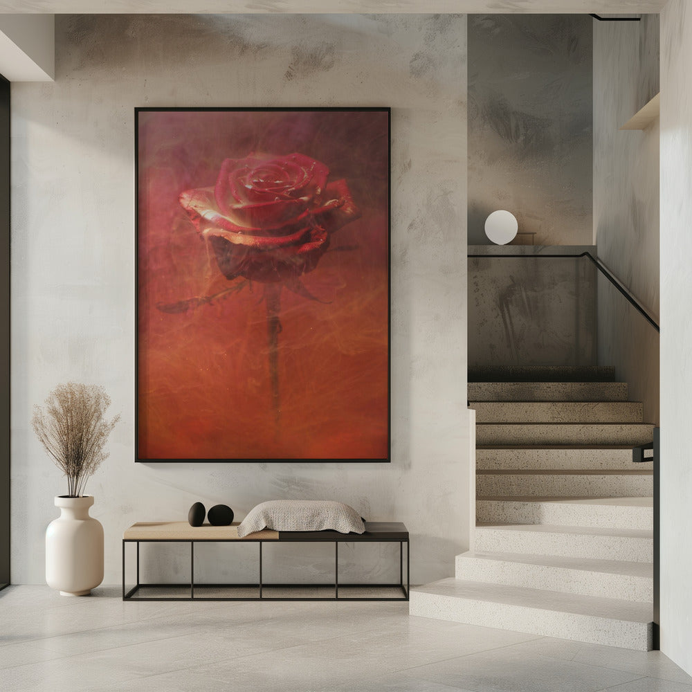 red rose and ink in water | Poster
