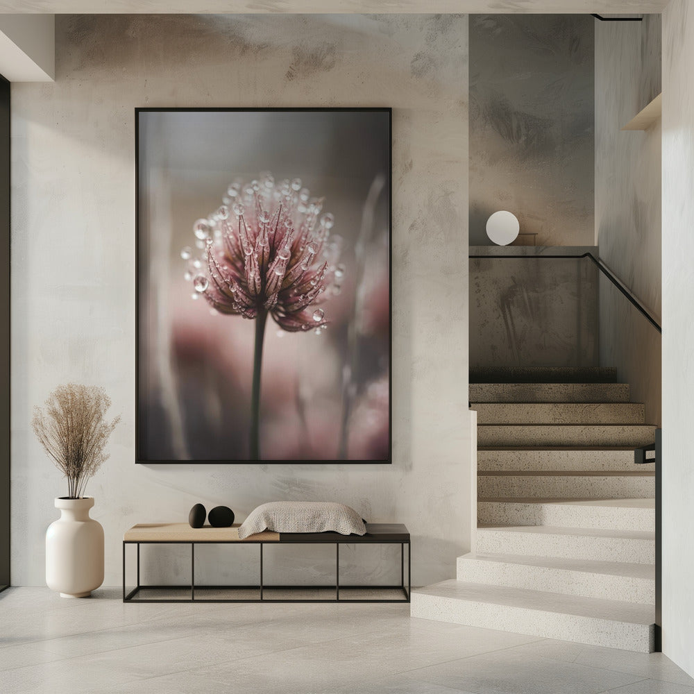 Taugeküsste Blüte | Poster