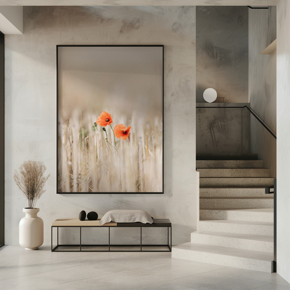 Summer Poppies | Poster