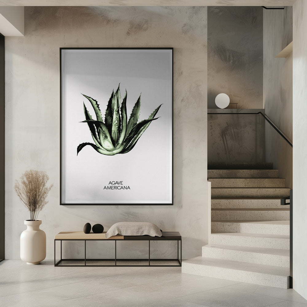 Grüne Agave Eleganz | Poster