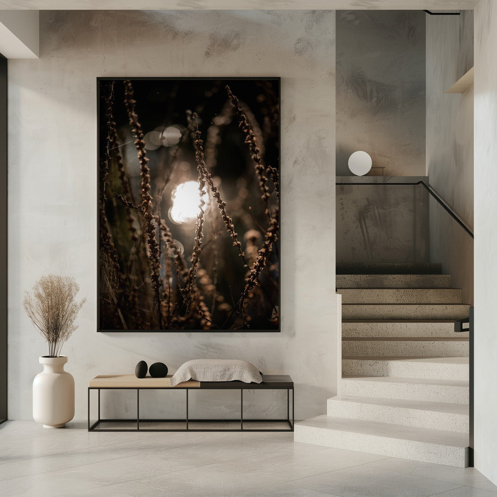 Herbstlichter 2 | Poster