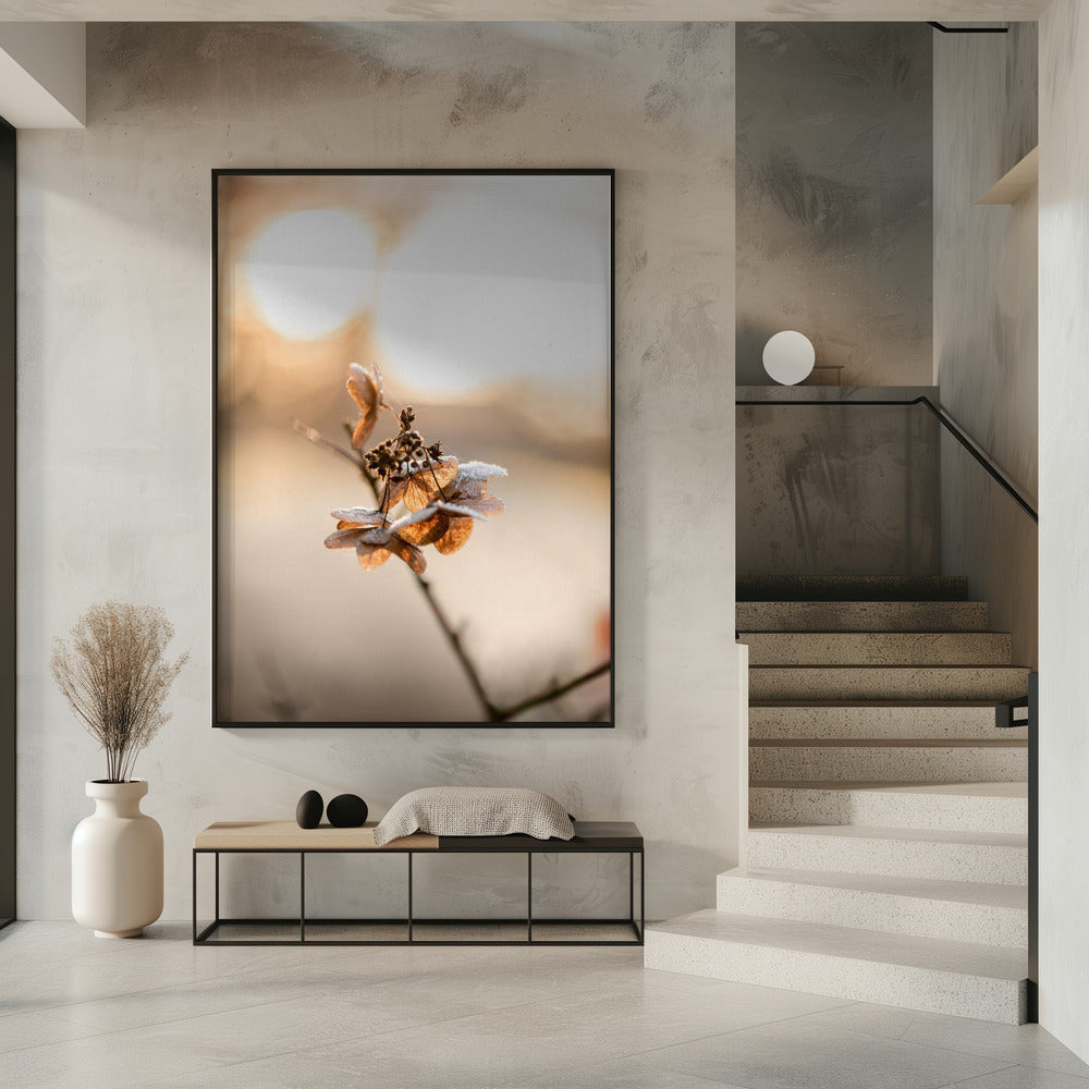 Hortensie 4 | Poster