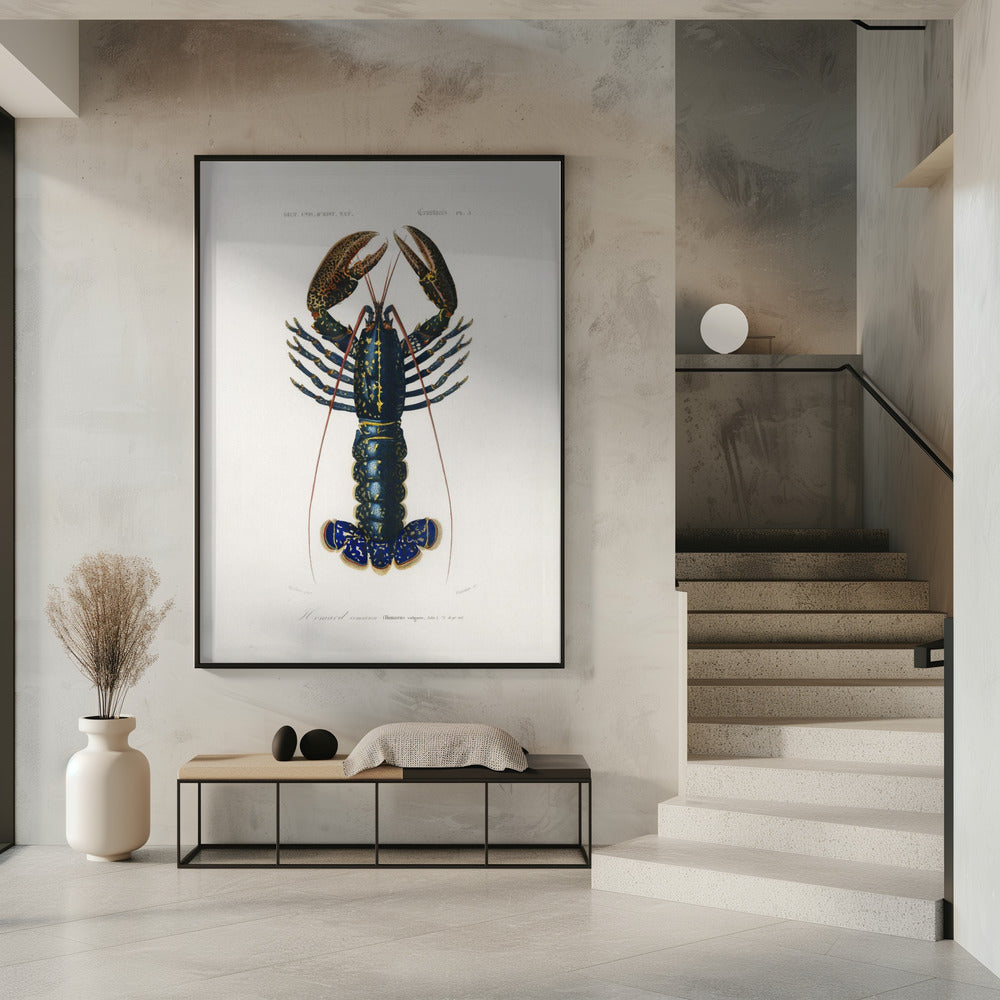 Purpurrote Flusskrebse | Poster