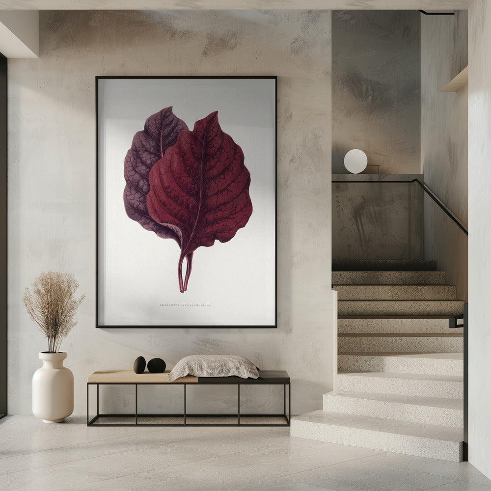 Rosa Amarantblatt-Illustration | Poster