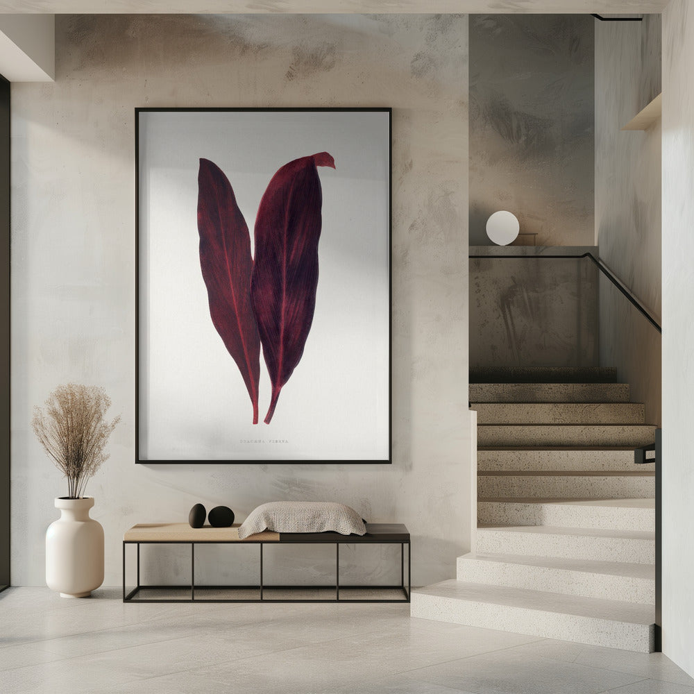 Rosa Dracaena Ferrea Blatt Illustration | Poster