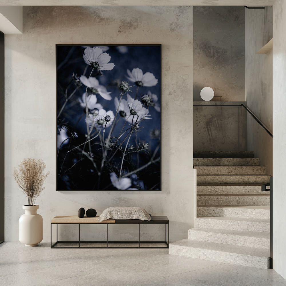 Wildblumen 10 | Poster