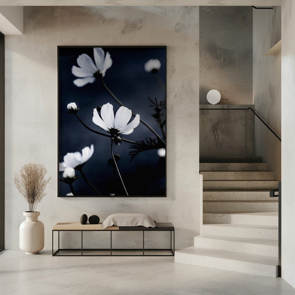 Wildblumen 1 | Poster