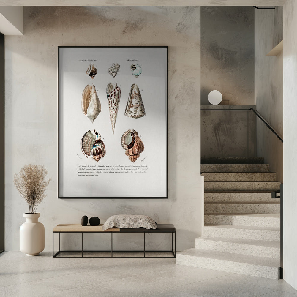 Meerestiere I | Poster