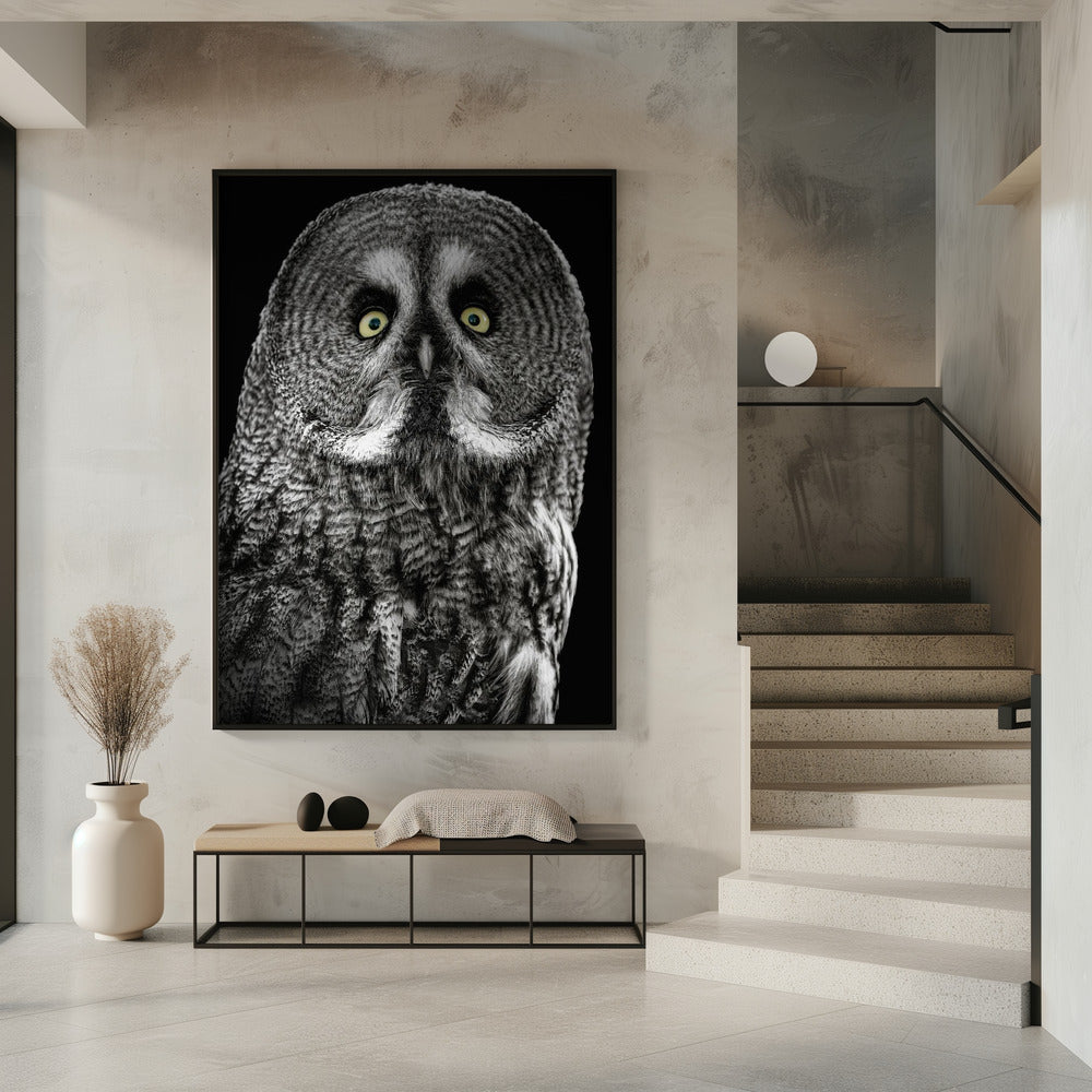 Owl | Poster