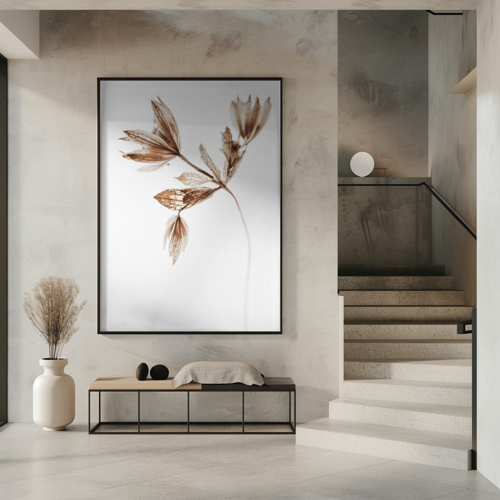 Zarte Pflanze I | Poster