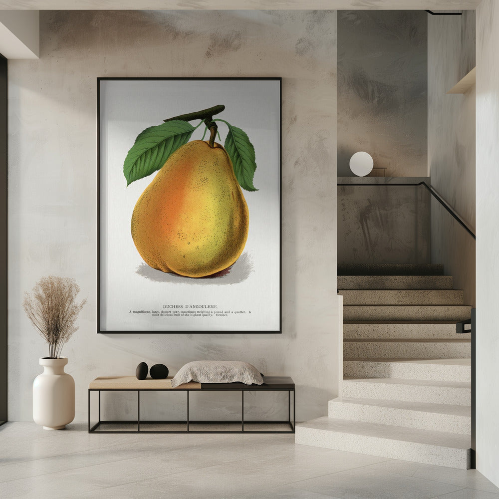 Herzogin D'angouleme Birnenlithographie | Poster