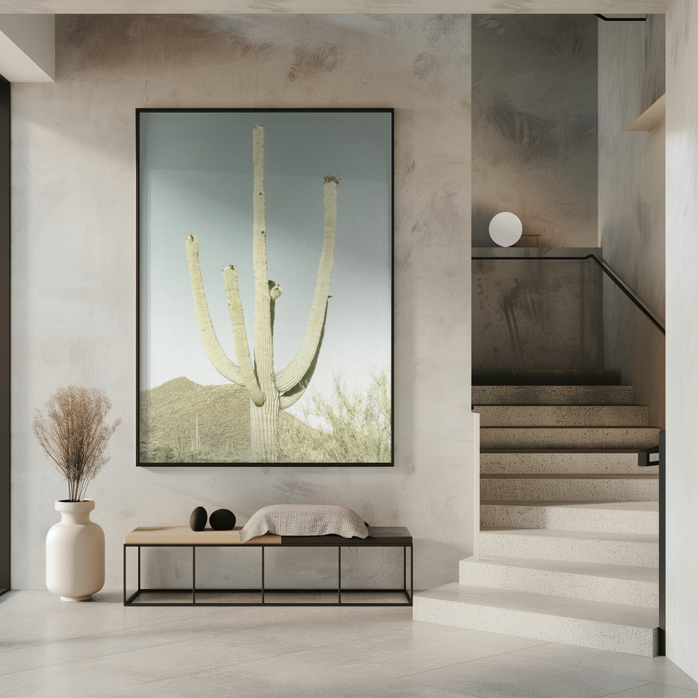 Saguaro Nationalpark Poster
