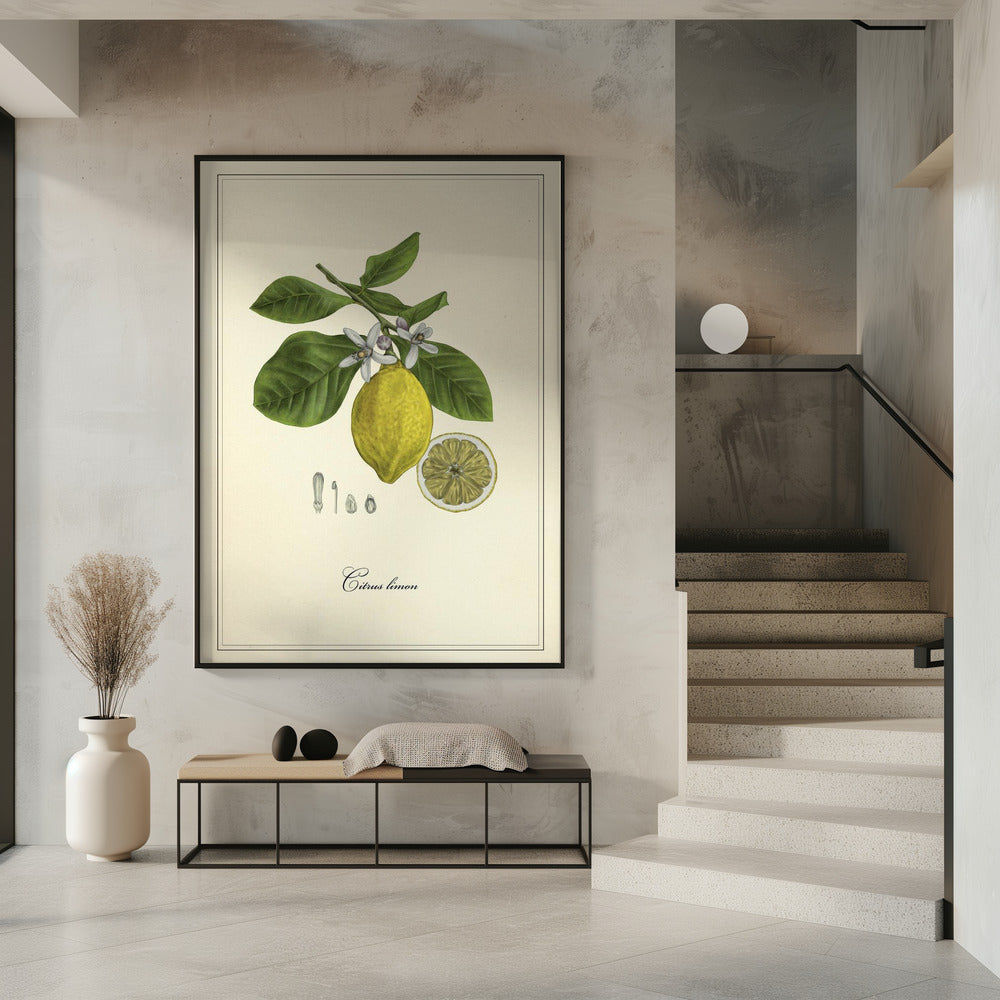 Zitrone | Poster