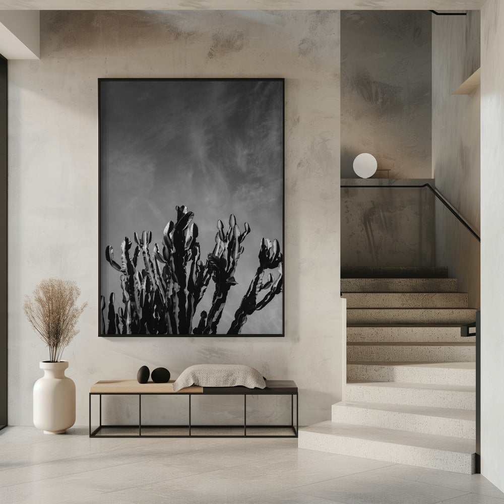 Monochromer Kaktushimmel | Poster