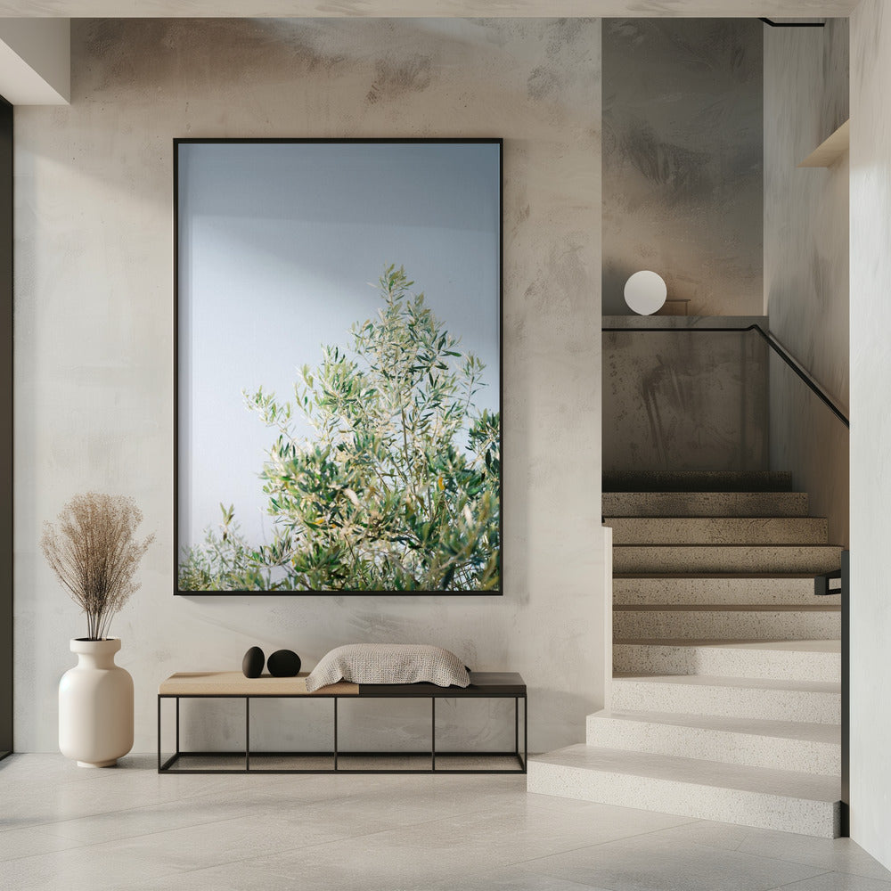 Oliven in Ostuni | Italien Reisefotografie | Poster