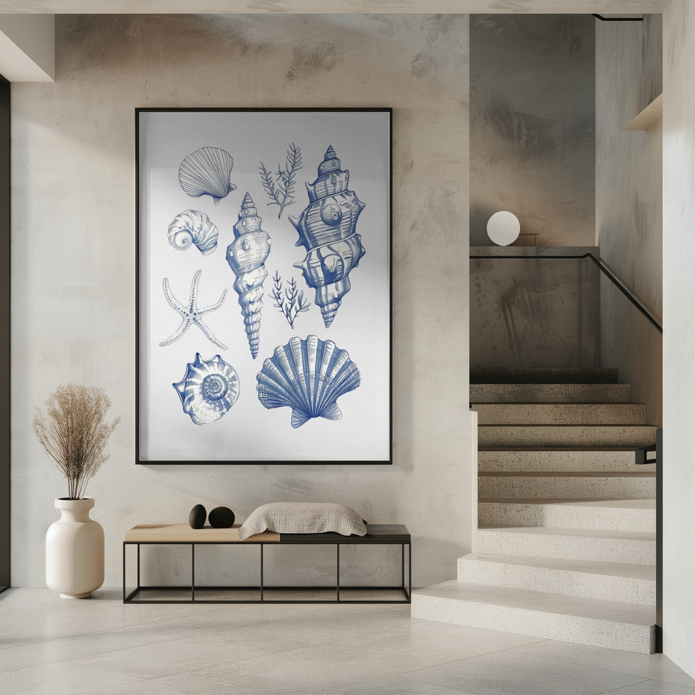 Muschelcollage | Poster