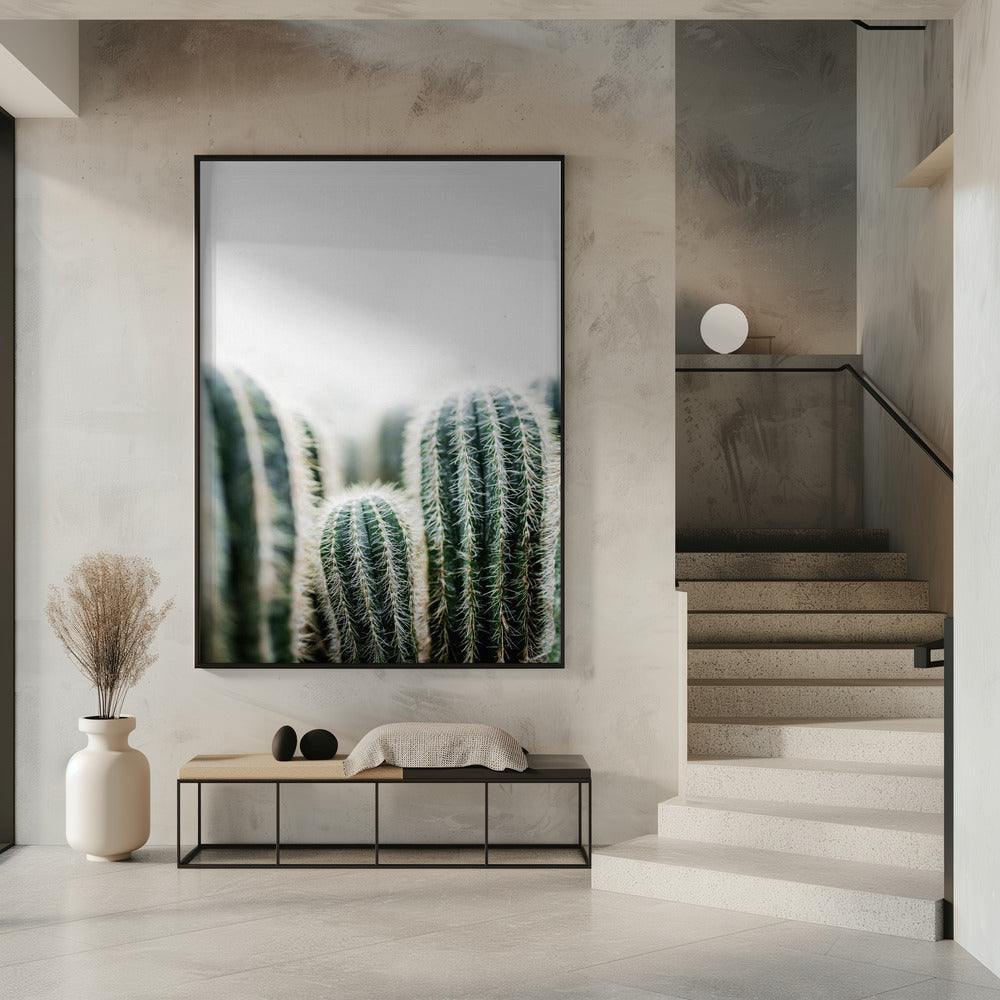 Cactus 1 | Poster
