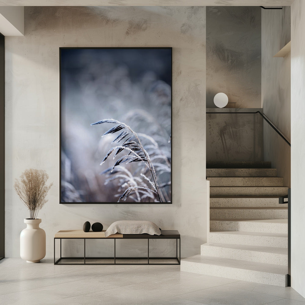 Frostiger Morgen 5 | Poster