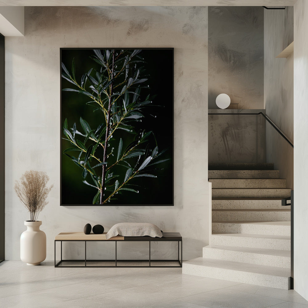 Winterzweige 6 | Poster