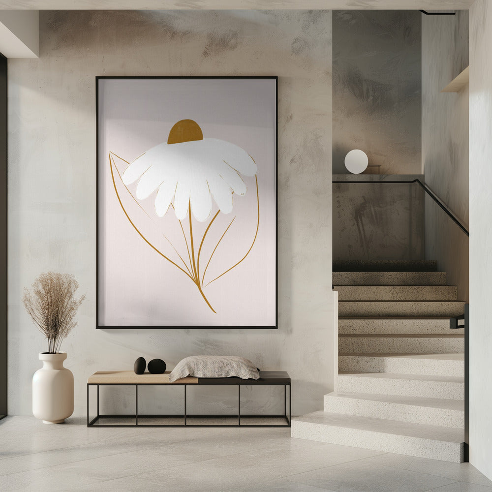 Weißes Gänseblümchen | Poster