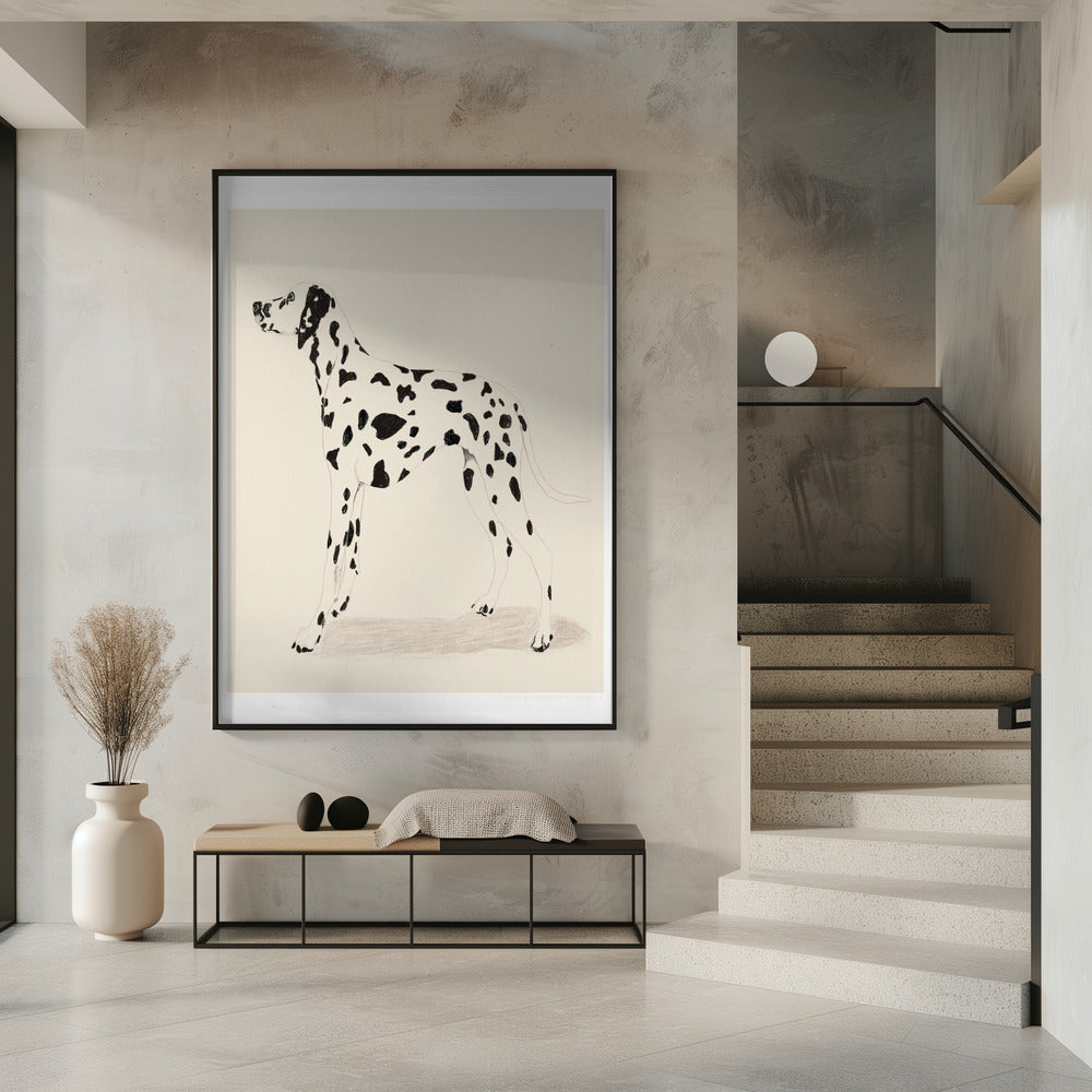 Pandc Dalmatiner | Poster