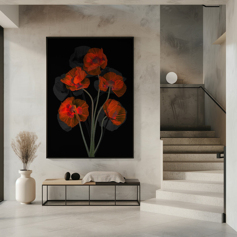 Eisiger roter Mohn | Poster
