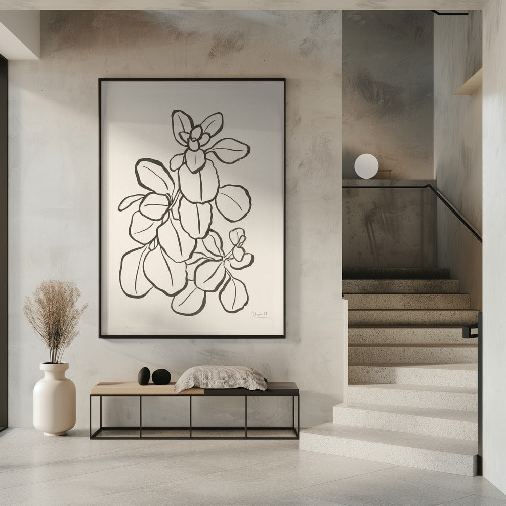Kalanchoe Pflanze | Poster