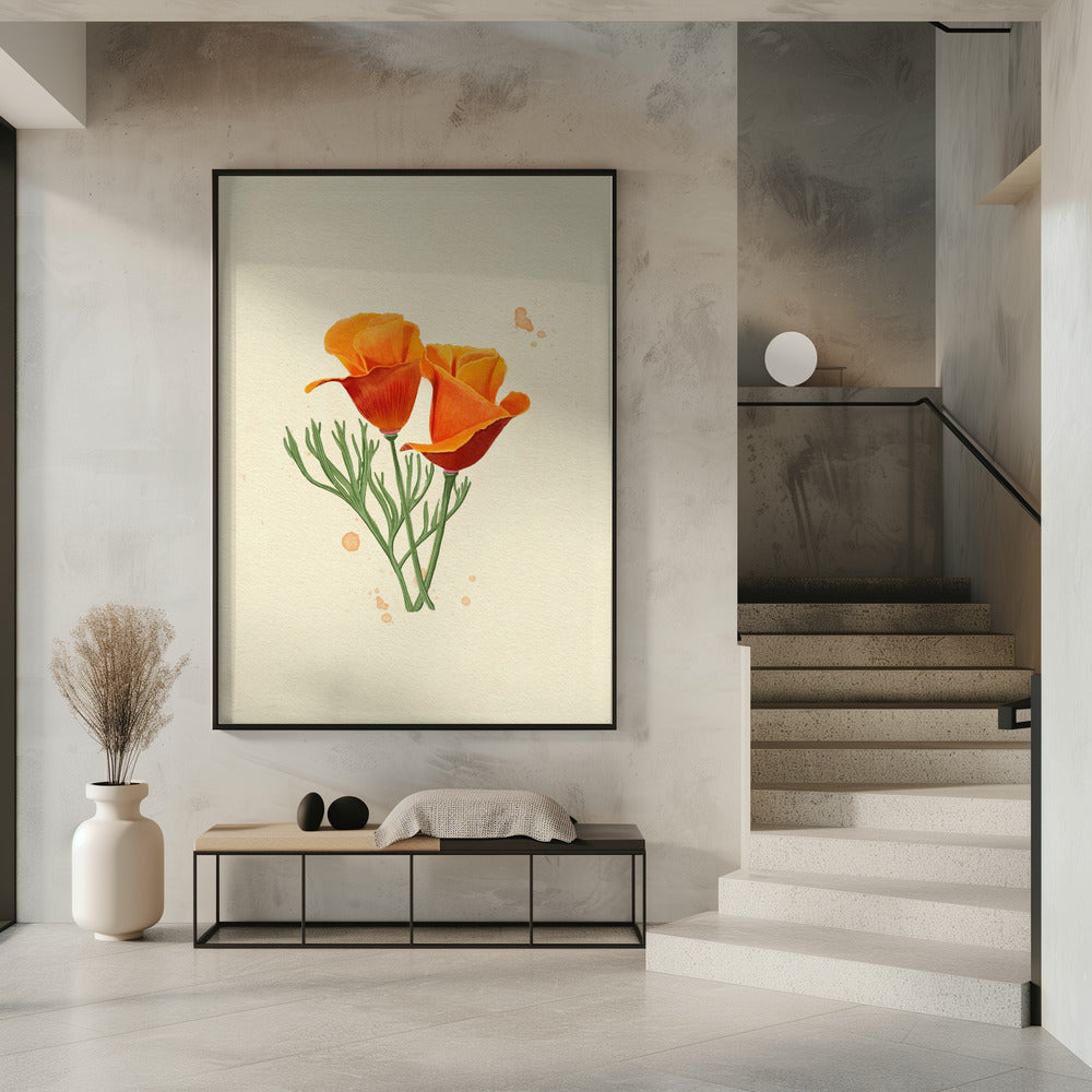 Kalifornischer Mohn | Poster