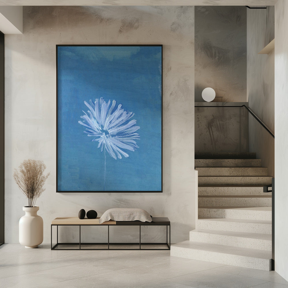 Weiße Blume auf blauem Hintergrund | Poster