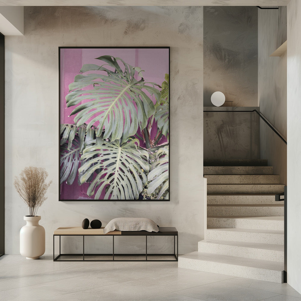 Monstera-Blatt La Muralla | Poster