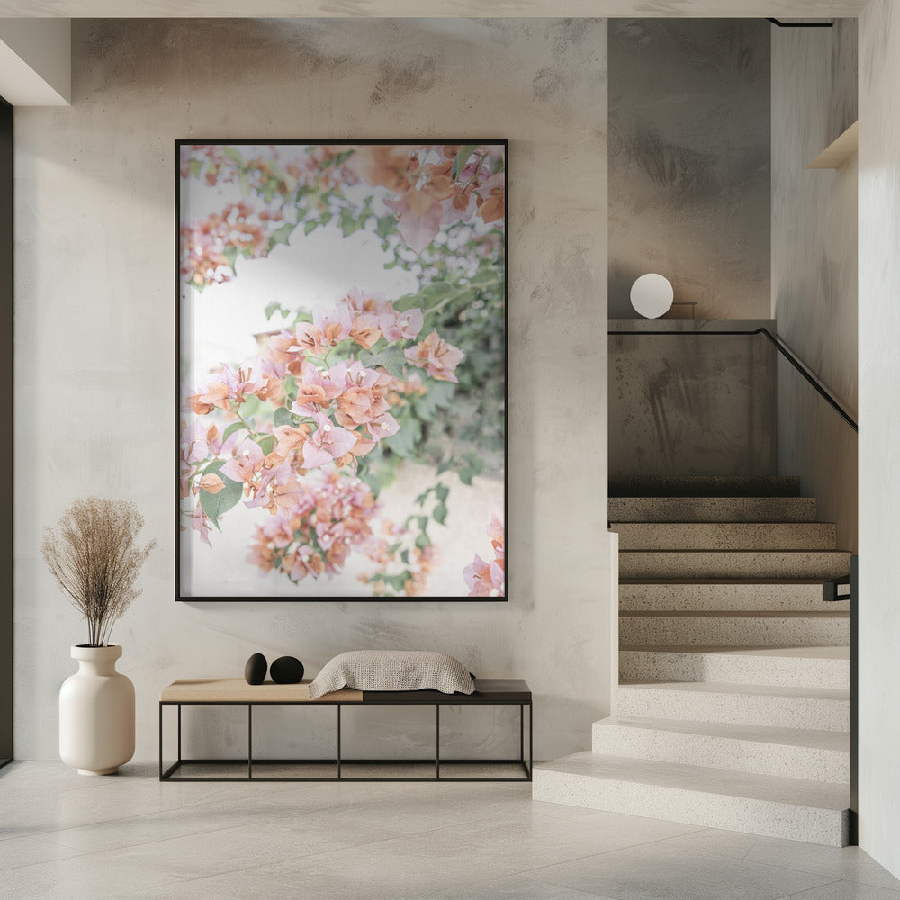 Pfirsich-Bougainvillea | Poster