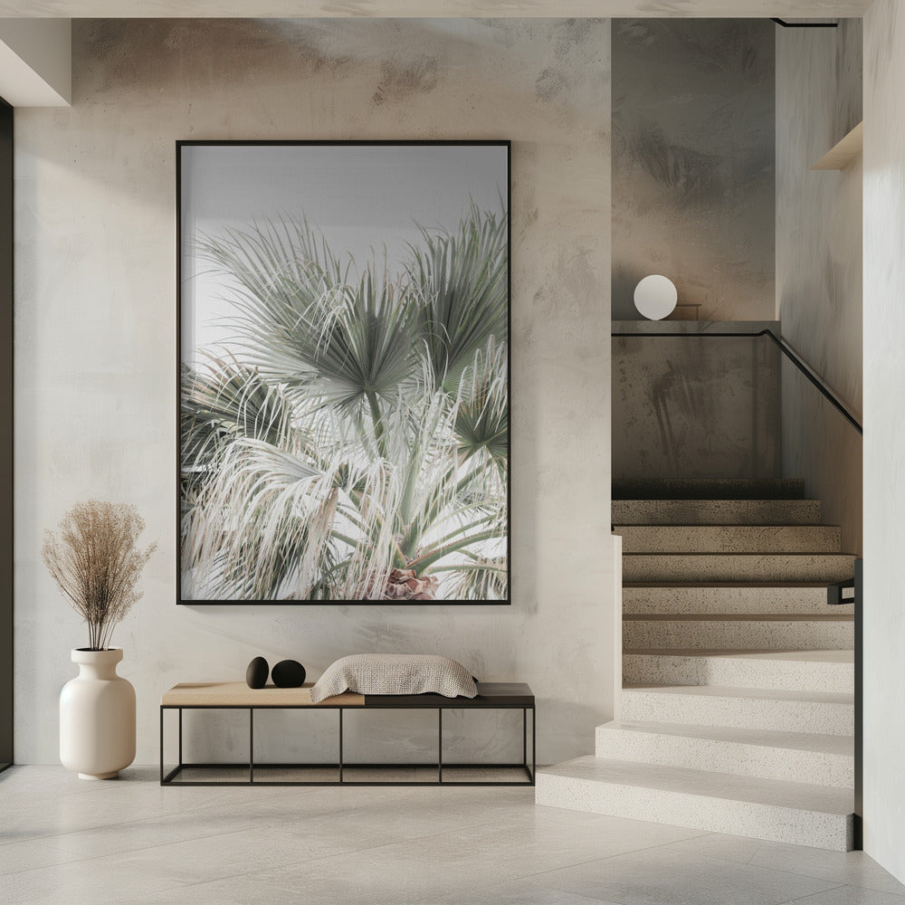 Palm Leaf | Poster