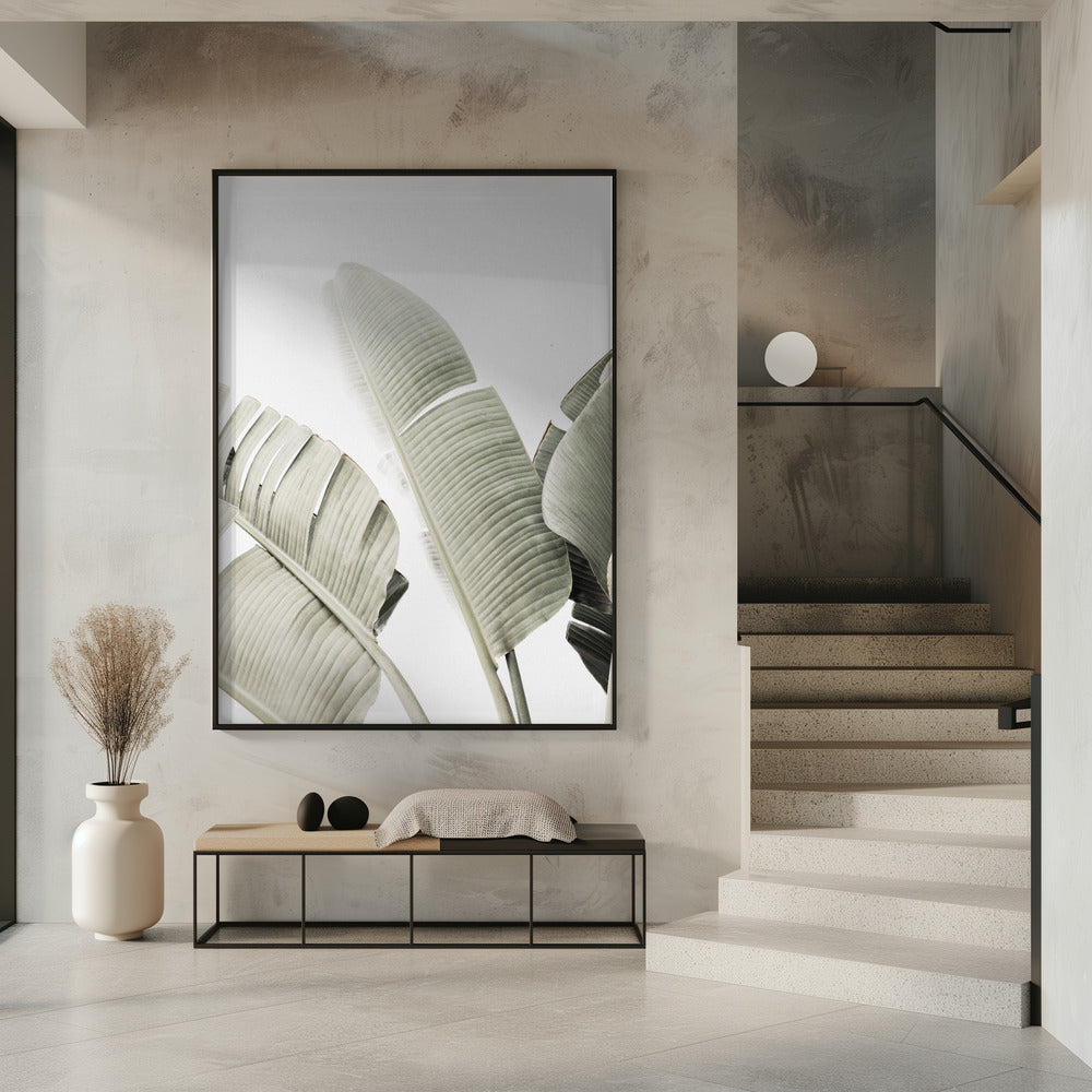 Bananenblatt 1 | Poster
